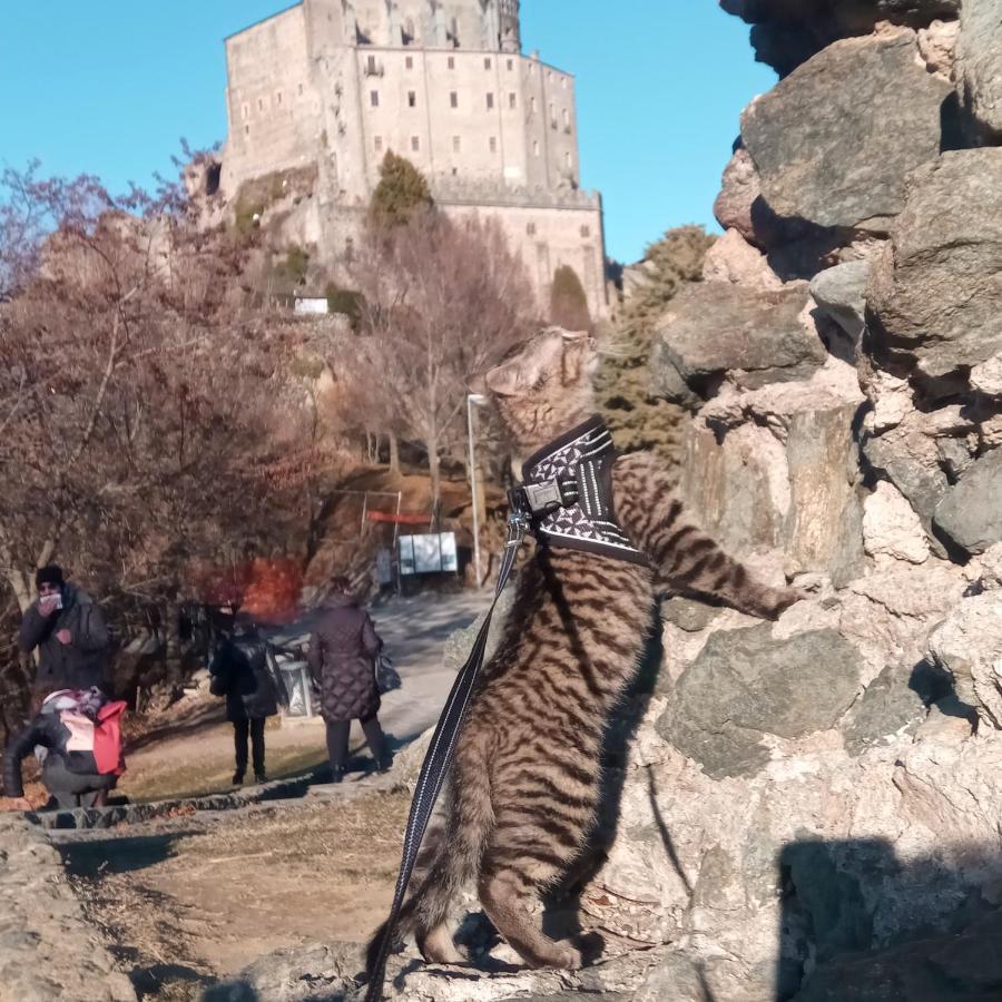 Willa Casa Del Rustico, Indipendente Vista Sacra Con Dipinto Caprie Zewnętrze zdjęcie